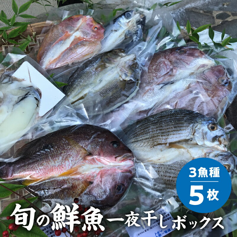 45位! 口コミ数「4件」評価「4.5」一夜干し 旬 鮮魚 干物 天然 ミネラル製法 塩分 控えめ 魚介類