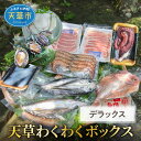 【ふるさと納税】魚貝類 海の幸 約 2.5kg 新鮮 刺身 車...