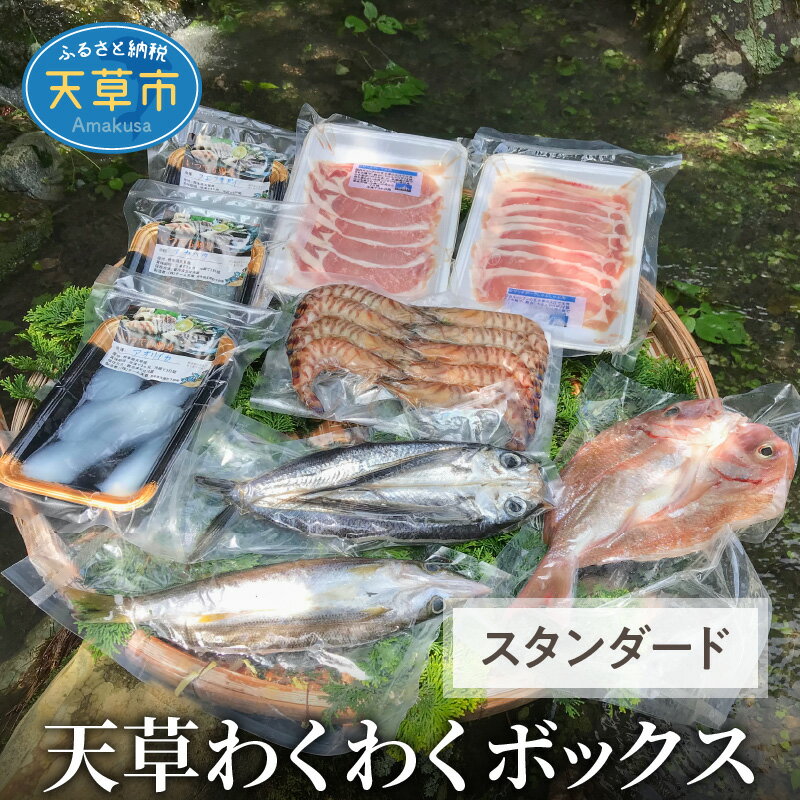 魚貝類 スタンダード 約 1.8kg 旬 新鮮 刺身 車えび 豚肉 しゃぶしゃぶ用 生姜焼き用 一夜干し 干物 鮮魚