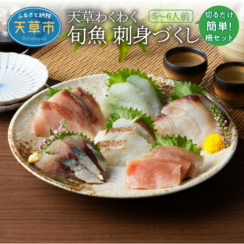 【ふるさと納税】刺身 5〜6人前 600g 以上 魚種 6種