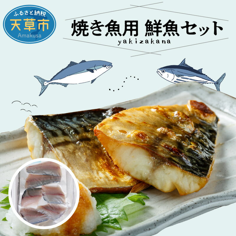 [着日指定] 鮮魚 セット 焼き魚 塩焼き ソテー ムニエル 旬 お魚屋さん 厳選 1.3〜1.5kg 選りすぐり 冷蔵 チルド 鮮度抜群 魚介 お魚屋さん グルメ 海鮮 新鮮 天草産 熊本県 九州 産地直送 お取り寄せグルメ 送料無料