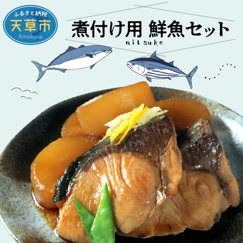 [着日指定] 鮮魚 セット 煮付け 旬 お魚屋さん 厳選 1.3〜1.5kg 選りすぐり 簡単調理 冷蔵 チルド 鮮度抜群 魚介 お魚屋さん グルメ 海鮮 新鮮 天草産 熊本県 九州 産地直送 お取り寄せグルメ 送料無料