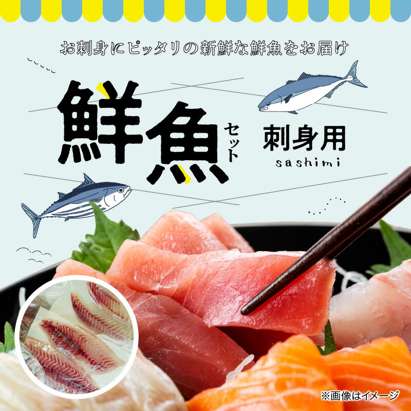 【ふるさと納税】【着日指定】 鮮魚 セット 詰め合わせ 刺身 海鮮丼 手巻き寿司 旬 厳選 1.3〜1.5kg 選りすぐり お楽しみ 柵 冷蔵 チルド 鮮度抜群 魚介 お魚屋さん グルメ 海鮮 新鮮 天草産 熊本県 九州 産地直送 お取り寄せグルメ 送料無料