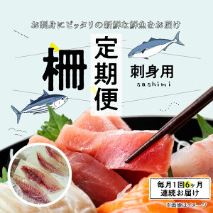 【ふるさと納税】【定期便6回】お刺身用 柵 毎月1回 600g 前後 お届け 天然 鮮魚 旬 刺身 冷蔵 刺身ブロック 真空パック 切るだけ 海鮮 魚 簡単 調理 時短 海の幸 寿司 本渡港 木戸鮮魚店 熊本県 天草市 お取り寄せグルメ 送料無料