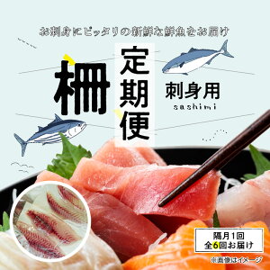 【ふるさと納税】【定期便6回】お刺身用 柵 定期便 2ヶ月 1回 600g 前後 お届け 天草 天然 鮮魚 旬 刺身 冷蔵 真空パック 切るだけ 海鮮 魚 簡単 調理 時短 海の幸 寿司 本渡港 木戸鮮魚店 熊本県 天草市 お取り寄せグルメ 送料無料