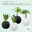 観葉植物 パキラ サンスベリア ハニー 消臭 グリーン 発財樹 空気清浄植物 エコポチ スフィア ハイブリッド ギフト お洒落