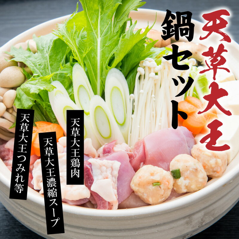 【ふるさと納税】天草の味 まるごと 天草大王 水炊き 鶏肉 