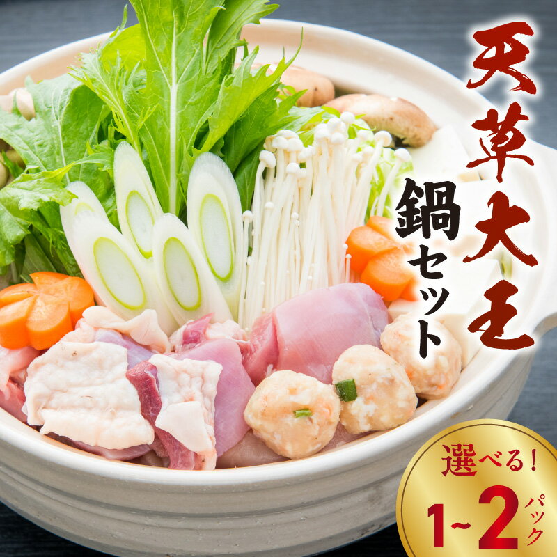 【ふるさと納税】天草の味 まるごと 天草大王 水炊き 鍋セット 選べる 内容量 1パック 2パック 鶏肉 濃..
