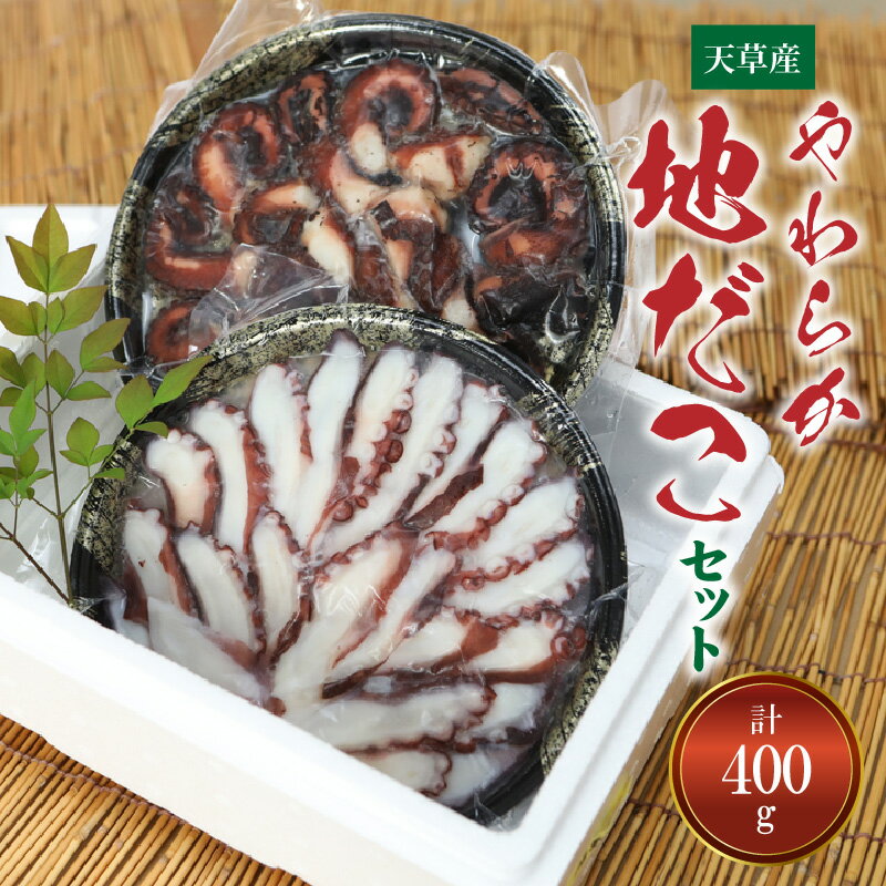 やわらか 地だこ セット お刺身 たこの柔らか煮 各 200g 計 400g 天草産 たこ ボイル アレンジ 酢の物 カルパッチョ 九州 熊本県 天草市 お取り寄せ お取り寄せグルメ 冷凍 送料無料