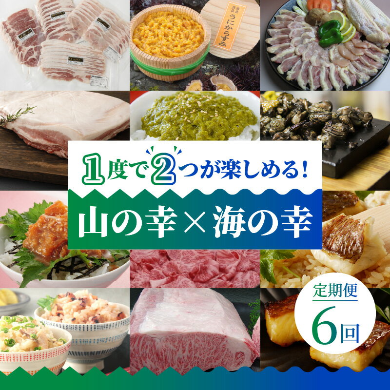 12位! 口コミ数「0件」評価「0」定期便 6回 山の幸 海の幸 豚肉 うにからすみ 生めかぶ 天草大王 炭火焼 地鶏 鯛 鯛めし たこめし すき焼き肉 ロース サーロイン ス･･･ 