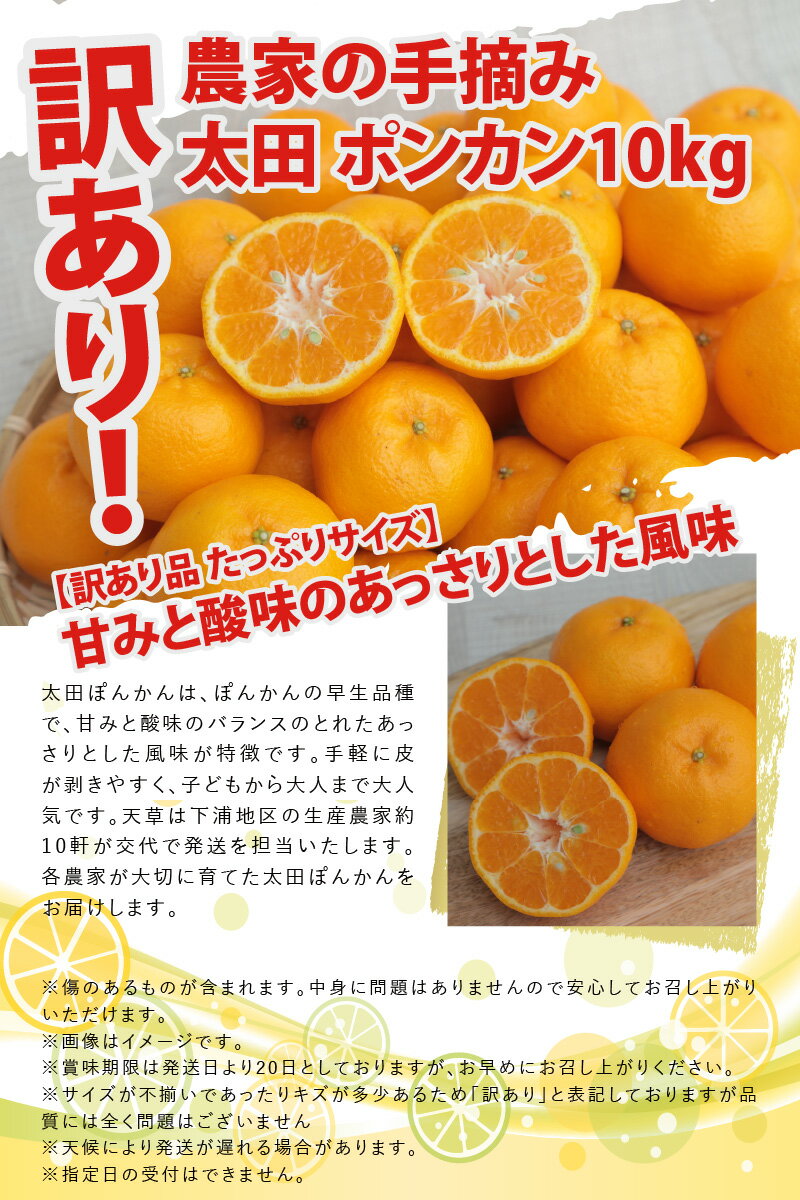 【ふるさと納税】【先行受付】 訳あり ポンカン 太田ぽんかん 約10kg 先行予約 国産 手摘み 家庭用 甘み 酸味 あっさり むきやすい 早生品種 天草 柑橘 お取り寄せ お取り寄せグルメ 果物 フルーツ 食べ物 常温 送料無料 みかん