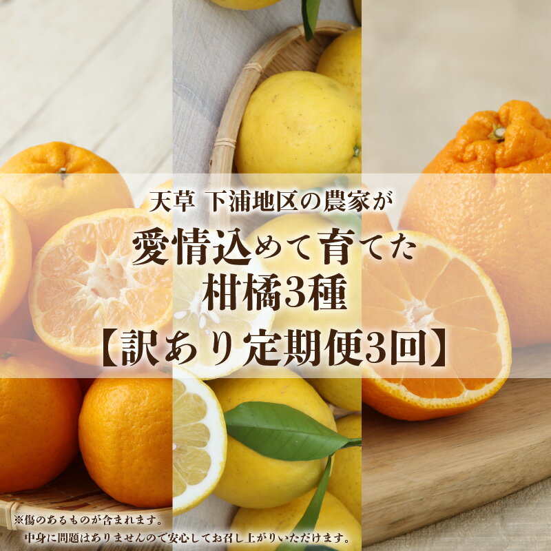 【ふるさと納税】訳あり 定期便 3回 柑橘 3種類 計 約 