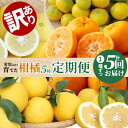 【ふるさと納税】【定期便5回】農家が愛情込めて育てた 訳あり 柑橘 5種 先行予約 早摘み 早生 温州 みかん 下浦 100年 ポンカン 不知火 パール柑 木成...
