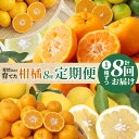 【ふるさと納税】【定期便8回】農家が愛情込めて育てた 柑橘 8種 8回 早摘み 早生 温州 みかん 下浦 100年 ポンカン 不知火 パール柑 木成り あまくさ...