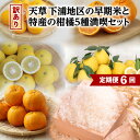 【ふるさと納税】訳あり 定期便 6回 果物 お米 コシヒカリ