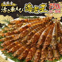 【ふるさと納税】【 着日指定 】 活き 車海老 えび 海老王 750g 新鮮 活きたままお届け 最高級 鮮度抜群 食品 食べ物 海の幸 海鮮 魚介類 シーフード パスタ エビチリ エビフライ 刺身 塩焼き 車えび エビ 幸福堂 熊本県 天草市 お取り寄せ 送料無料