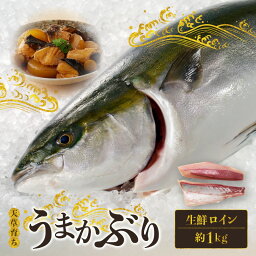 【ふるさと納税】産地直送 活じめ うまかぶり 生鮮 ロイン 2節 約 1kg 切るだけ 手間いらず 食品 食べ物 魚介類 海の幸 ぶり お刺身 しゃぶしゃぶ カルパッチョ 煮物 有限会社平安海産 九州 熊本県 天草市 お取り寄せ お取り寄せグルメ 送料無料