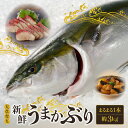 【ふるさと納税】天草育ち 活じめ 新鮮 うまか ぶり まるまる 1本 内臓処理済 約 3kg