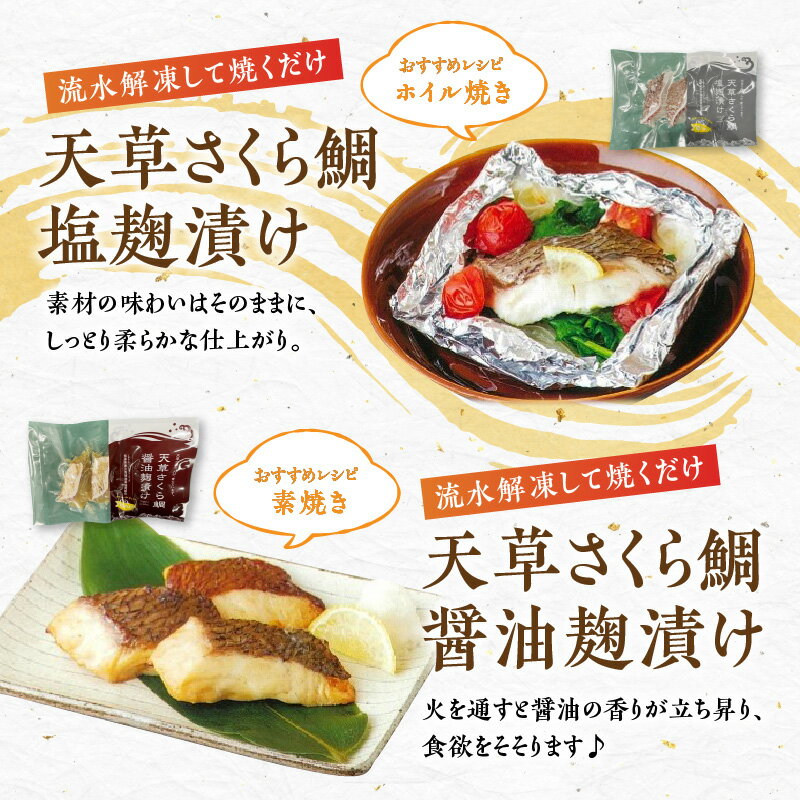 【ふるさと納税】天草 簡単調理 美味しい 魚 ぶり さくら鯛 4種 各 1パック 加工セット 養殖魚便 たたき 湯引き 塩麹漬け 醤油麹漬け 冷凍 流水解凍 簡単 手軽 新鮮 魚介 熊本県産 水産加工品 お取り寄せグルメ 熊本県 天草市 九州 送料無料 3