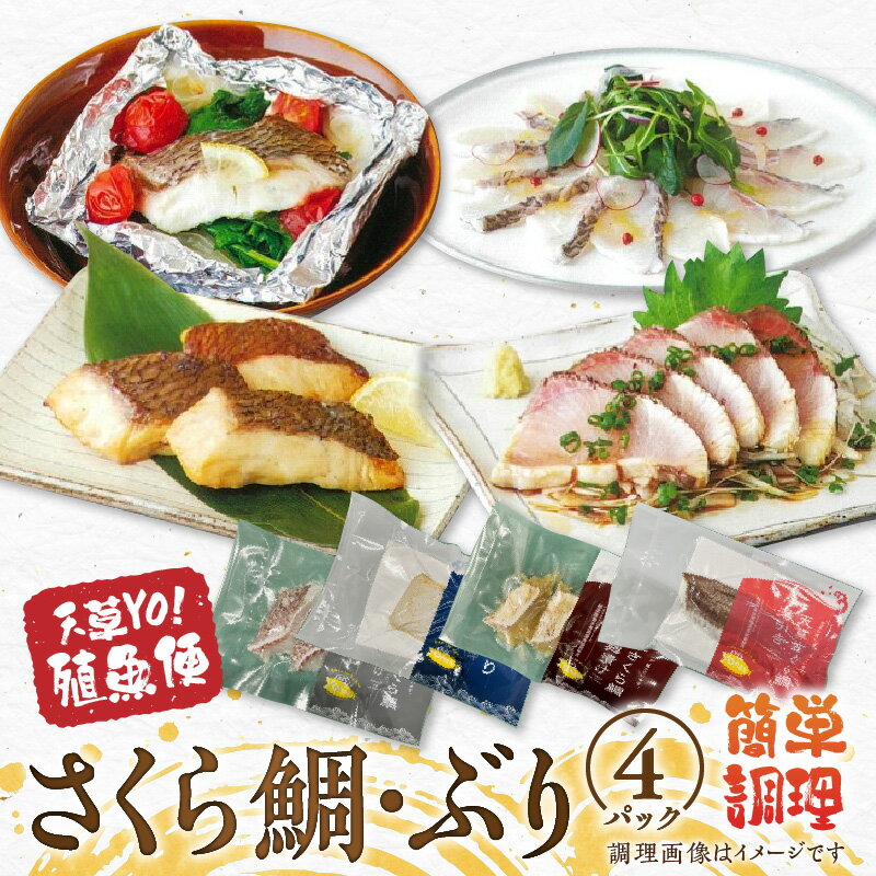 【ふるさと納税】天草 簡単調理 美味しい 魚 ぶり さくら鯛 4種 各 1パック 加工セット 養殖魚便 たた..