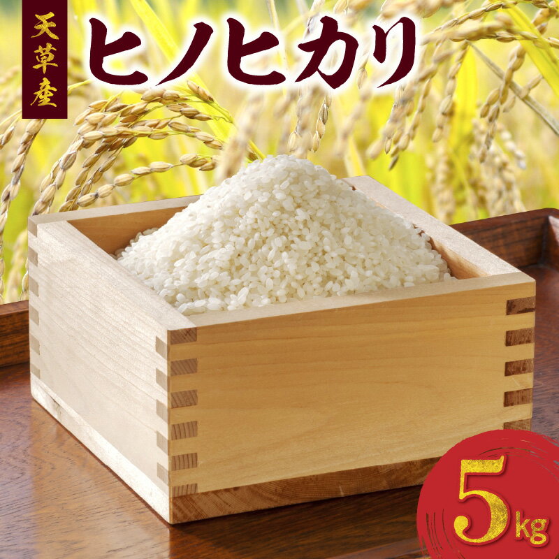 令和5年産 ヒノヒカリ 5kg 精米 単一原料米 白米 ごはん おにぎり 米作り 熊本県 天草 お取り寄せ 食品 九州 送料無料 故郷の味 常温