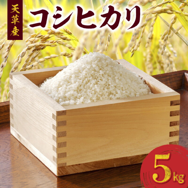 令和6年産 コシヒカリ 5kg 精米 単一原料米 白米 ごはん おにぎり 米作り 熊本県 天草 お取り寄せ 食品 九州 故郷の味 常温 送料無料【先行受付】