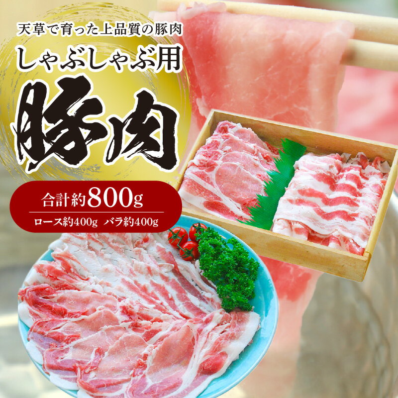 国産 豚肉 しゃぶしゃぶ用 セット 豚ロース 豚バラ 各 約 400g 計 約 800g 冷凍 熊本産 天草産 薄切り 冷しゃぶ お肉 ロース バラ肉 食品 今福精肉店 お取り寄せ お取り寄せグルメ 熊本県 天草市 送料無料