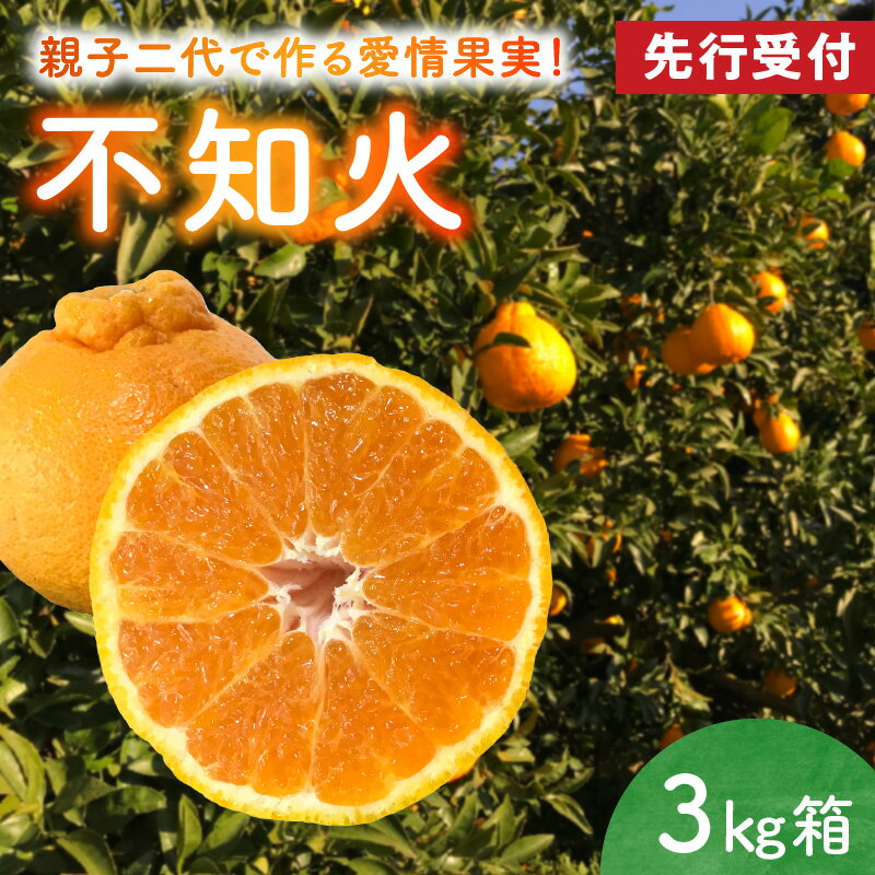 先行受付 不知火 3kg 8～12玉 箱 天草産 柑橘 みかん 樹上完熟栽培 上品な甘さ 果物 フルーツ 果樹園 有楽園 お取り寄せ お取り寄せフルーツ のし対応可 常温配送 熊本県 天草市 送料無料