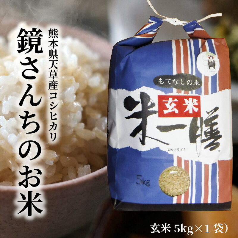 令和5年産 コシヒカリ 5kg 玄米 単一原料米 ごはん 米 おにぎり 米作り 熊本県 天草 お取り寄せ 食品 九州 故郷の味 常温 送料無料