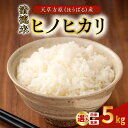 【ふるさと納税】【先行受付】 天草産 ヒノヒカリ 5kg 選べる 白米/玄米 単一原料米 食品 常温 お米 米 ごはん ご飯 おにぎり 弁当 おいしい 国産 九...