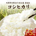 【ふるさと納税】【先行受付】 天草方原産 清流米 コシヒカリ 選べる 白米/玄米 3kg/5kg