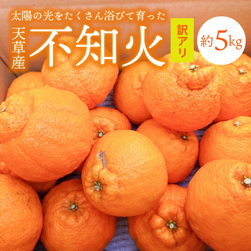 【ふるさと納税】【訳あり】不知火 約 5kg 家庭用 箱 天草産 柑橘 旬 果物 フルーツ 果樹園 しばた農園 サイズ 5L ～ Mサイズ 混合品 デザート スイーツ 食品 国産 お取り寄せ お取り寄せフル…