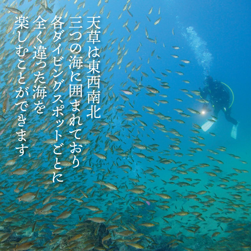 【ふるさと納税】よかよか体験チケット 6,000円 よかよか ダイビング利用券 体験 チケット ダイビング シュノーケル ライセンス 講習 体験プラン 熊本県 天草市 アクティビティ ビーチ ボートダイビング お取り寄せ 送料無料 3