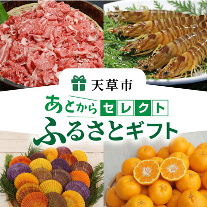 あとからセレクト 【ふるさとギフト】 あとから選べる 肉 牛肉 黒毛和牛 定期便 魚 海鮮 ブリ 海老 車海老 干物 米 柑橘 ポンカン ふぐ 鶏肉 天草大王 パール アクセサリー あとから 選べる 天草市 熊本県