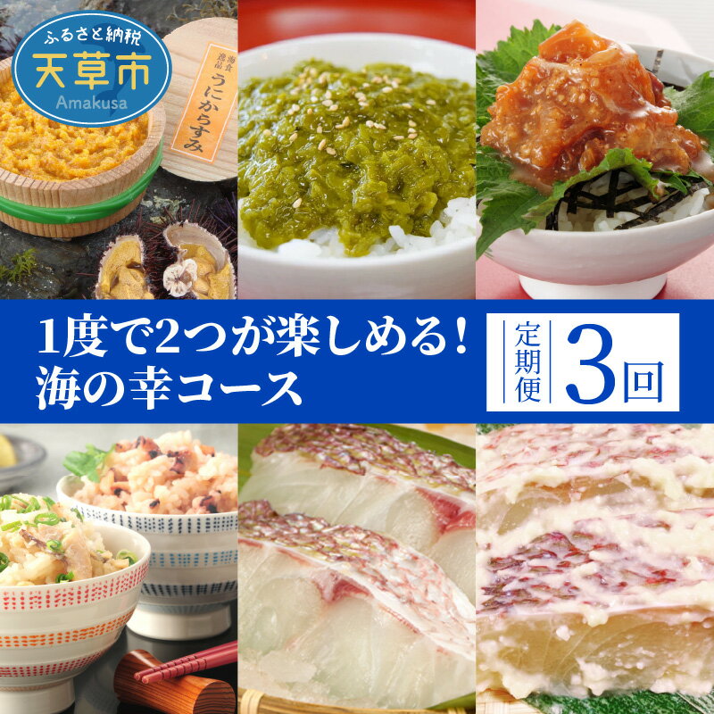 市場 ふるさと納税 スライス 職人吉岡の家庭用カラスミ からすみ 60g 市場 ふるさと納税 スライス 職人吉岡の家庭用カラスミ からすみ 60g