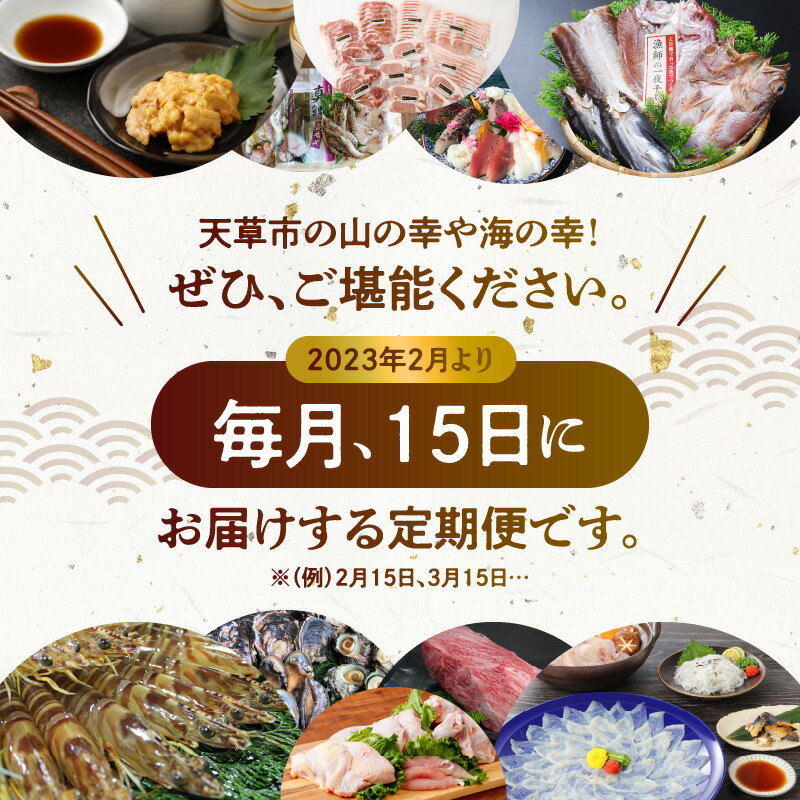 【ふるさと納税】定期便 10回 山の幸 海の幸 豚肉 生姜焼き 焼肉 しゃぶしゃぶ とんかつ みそ豚 カツレツ 海老 鯛 生うに 天草大王 鶏肉 あわび さざえ 岩牡蠣 黒毛和牛 ステーキ サーロイン サーロインステーキ とらふぐ 刺身 天草 お取り寄せ お取り寄せグルメ 送料無料