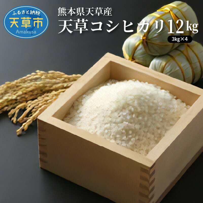 【ふるさと納税】新米 令和6年産 コシヒカリ 12kg 精米 3kg 4袋 単一原料米 国産 米 お米 白米 ごはん 熊本県 天草 お取り寄せ 食品 九州 送料無料