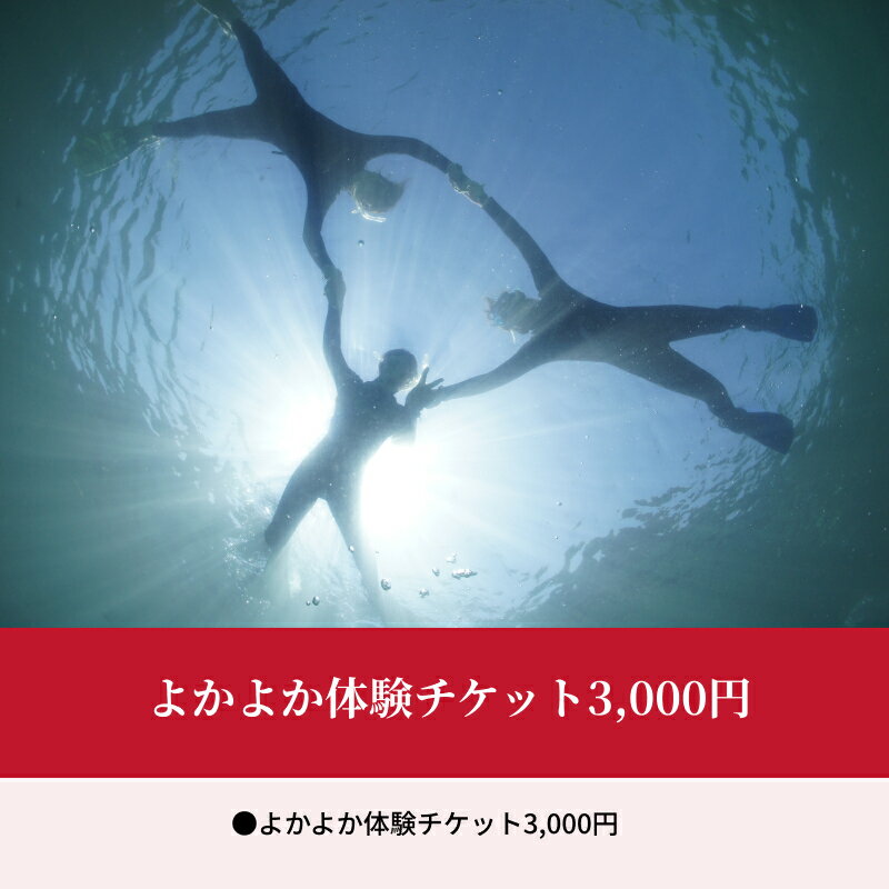 【ふるさと納税】よかよか体験チケット 3,000円 よかよか ダイビング利用券 体験 チケット ダイビング シュノーケル ライセンス 講習 体験プラン 熊本県 天草市 アクティビティ ビーチ ボートダイビング お取り寄せ 送料無料