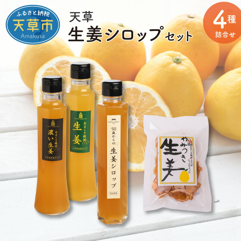 14位! 口コミ数「0件」評価「0」生姜 シロップ セット 晩柑 柑橘 やみつき 炭酸 健康 栄養 無添加 ギフトお土産 手土産 お取り寄せ ジンジャエール 割り材 生姜 ジン･･･ 