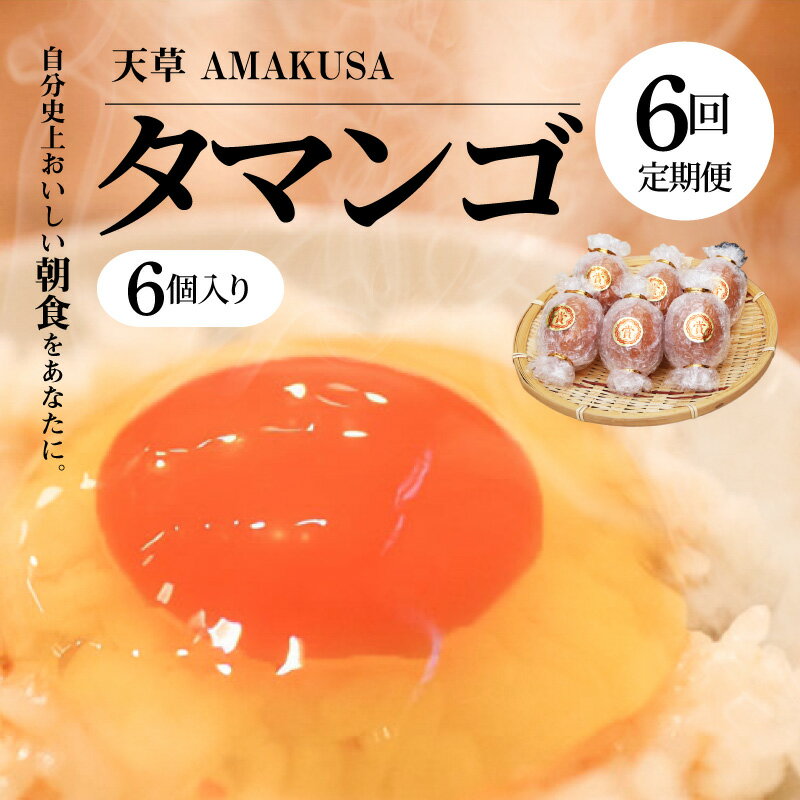 【ふるさと納税】【TVで紹介されました】 定期便 6回 タマンゴ たまご 6個...