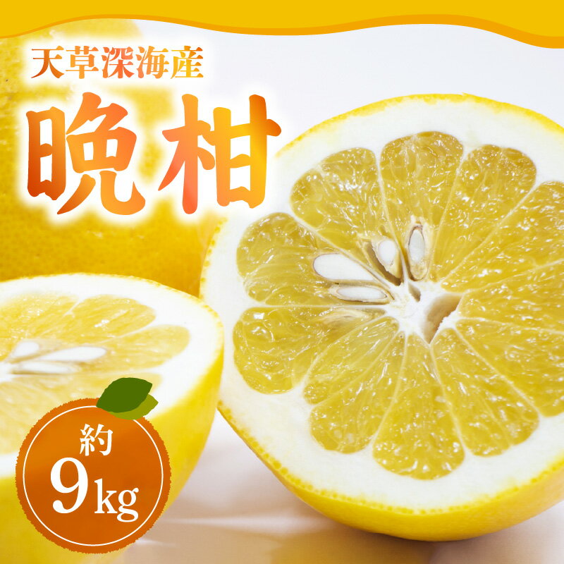 【ふるさと納税】柑橘 晩柑 約9kg 果物 フルーツ 安心 安全