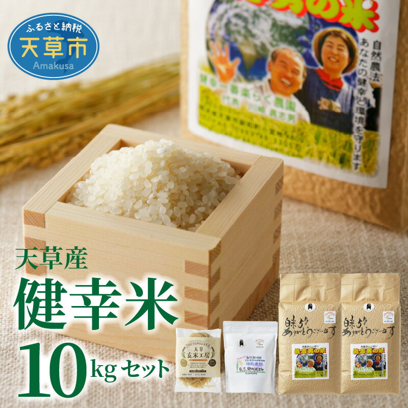 令和5年産 健幸米セット 精米 5kg × 2袋 合計 10kg コシヒカリ 焙煎玄米めん 玄米麺 グルテンフリー 焙煎米粉 自然栽培米 単一原料米 お取り寄せ 熊本県 天草 送料無料