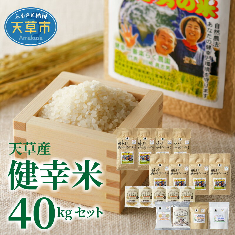 令和5年産 健幸米 セット 精米 5kg × 4袋 玄米 5kg×4袋 コシヒカリ 焙煎玄米めん 玄米麺 グルテンフリー 玄米ポンせん 赤米 黒米 玄米 スティック 焙煎米粉 焙煎玄米粉 自然栽培米 単一原料米 熊本県 天草 送料無料