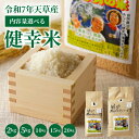 【ふるさと納税】【令和7年産】特別栽培米 健幸米 選べる 2kg 5kg 10kg 15kg 20kg 眞志男の米 白米 単一原料米 肥料不使用 コシヒカリ ご...