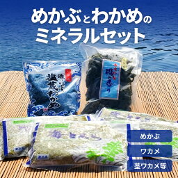 【ふるさと納税】めかぶ わかめ ミネラル セット たたき とろろ 塩蔵ワカメ 茎ワカメ 海とろろ 海藻 新鮮 国産 食品 お取り寄せ お取り寄せグルメ ごはんのお供 熊本県 天草市 牛深 送料無料