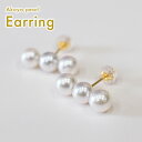 【ふるさと納税】ピアス あこや真珠 3連 6mm - 6.5mm 選べる 金具 K18YG K14WG PT900 ホワイトピンク 真珠 パール アクセサリー ジュエリー 品質保証書 ジュエリーケース 真珠てりクロス お取り寄せ 熊本県 天草市 送料無料