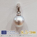 【ふるさと納税】あこや真珠 ナチュラルカラー 8.5mm - 9mm 1粒 天草産 本真珠 ペンダントトップ SV925 シルバー925 真珠 チェーンなし シンプル あこや貝 アクセサリー ジュエリ- ジュエリーケース 品質保証書 てりクロス 熊本県 天草市 送料無料