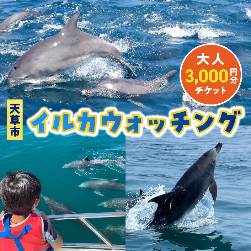 クルージングチケット 【ふるさと納税】イルカウォッチング チケット 1枚 3,000円分 利用券 大人 体験 観光 体験プラン クルーズ クルージング 約1時間 ミナミハンドウイルカ イルカ鑑賞 イルカセンター アクティビティ お取り寄せ 熊本県 天草市 送料無料