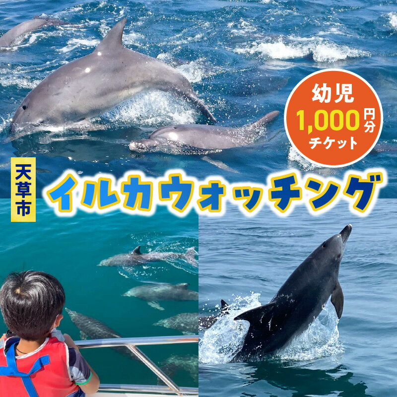 クルージングチケット 【ふるさと納税】イルカウォッチング チケット 1枚 1,000円分 利用券 幼児 2歳以上 体験 観光 体験プラン クルーズ クルージング 約1時間 ミナミハンドウイルカ イルカ鑑賞 イルカセンター アクティビティ お取り寄せ 熊本県 天草市 送料無料