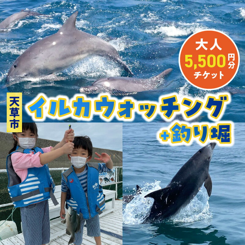 【ふるさと納税】イルカウォッチング 釣り堀 チケット 1枚 5,500円分 利用券 大人 1名様 体験 観光 クルーズ クルージング 各 約1時間 ミナミハンドウイルカ イルカ鑑賞 釣り 魚 キャッチアンドリリース 持ち帰り可 イルカセンター アクティビティ 熊本県 天草市 送料無料